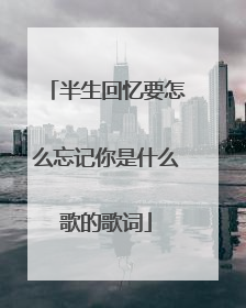 半生回忆要怎么忘记你是什么歌的歌词