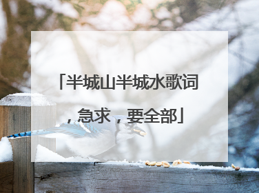 半城山半城水歌词,急求,要全部