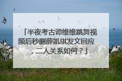半夜考古谭维维跳舞视频后秒删薛凯琪发文回应，二人关系如何？