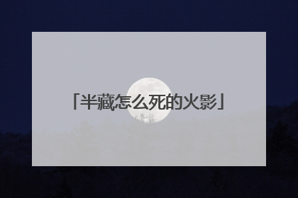半藏怎么死的火影