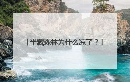 半藏森林为什么凉了?