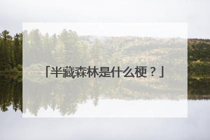 半藏森林是什么梗？