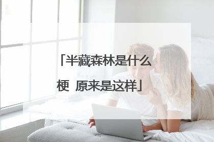 半藏森林是什么梗 原来是这样