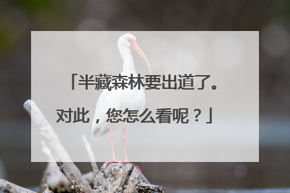半藏森林要出道了。对此，您怎么看呢？