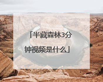 半藏森林3分钟视频是什么