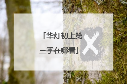 华灯初上第三季在哪看