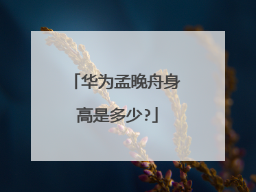 华为孟晚舟身高是多少?