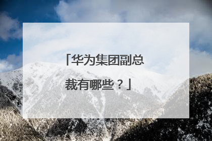 华为集团副总裁有哪些？