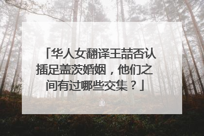 华人女翻译王喆否认插足盖茨婚姻，他们之间有过哪些交集？