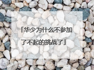 华少为什么不参加了不起的挑战了