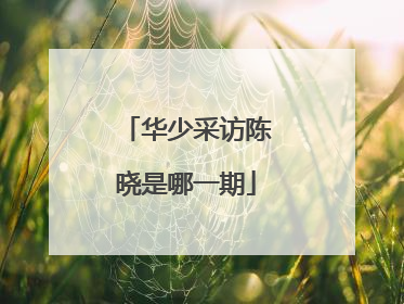 华少采访陈晓是哪一期