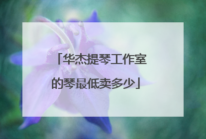 华杰提琴工作室的琴最低卖多少