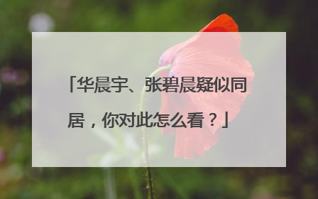 华晨宇、张碧晨疑似同居,你对此怎么看?
