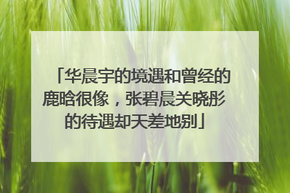 华晨宇的境遇和曾经的鹿晗很像，张碧晨关晓彤的待遇却天差地别