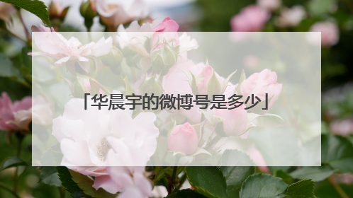 华晨宇的微博号是多少