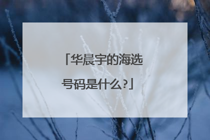 华晨宇的海选号码是什么?