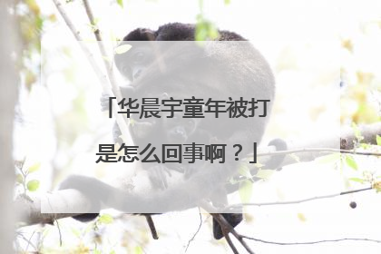 华晨宇童年被打是怎么回事啊？