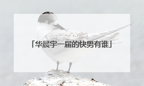 华晨宇一届的快男有谁