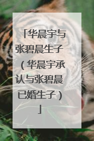 华晨宇与张碧晨生子(华晨宇承认与张碧晨已婚生子)