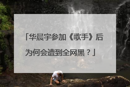 华晨宇参加《歌手》后为何会遭到全网黑?