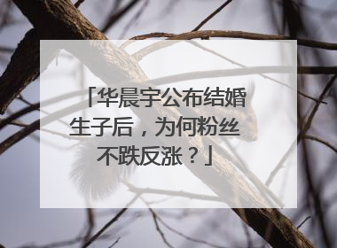 华晨宇公布结婚生子后，为何粉丝不跌反涨？