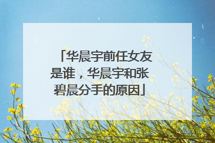 华晨宇前任女友是谁，华晨宇和张碧晨分手的原因