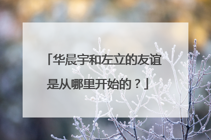 华晨宇和左立的友谊是从哪里开始的?