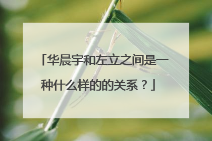 华晨宇和左立之间是一种什么样的的关系?