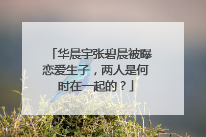华晨宇张碧晨被曝恋爱生子,两人是何时在一起的?