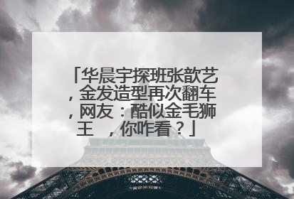 华晨宇探班张歆艺,金发造型再次翻车,网友:酷似金毛狮王 ,你咋看?