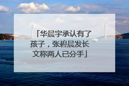 华晨宇承认有了孩子,张碧晨发长文称两人已分手