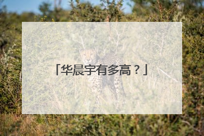 华晨宇有多高？