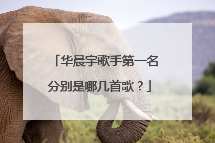 华晨宇歌手第一名分别是哪几首歌?