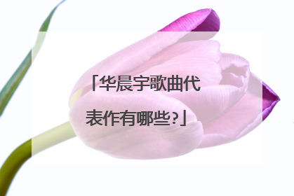 华晨宇歌曲代表作有哪些?