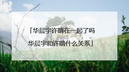 华晨宇许晴在一起了吗 华晨宇和许晴什么关系