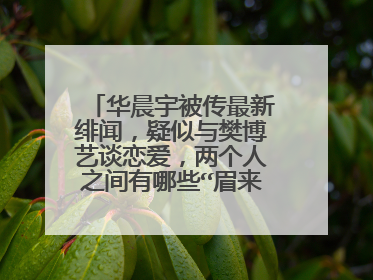 华晨宇被传最新绯闻,疑似与樊博艺谈恋爱,两个人之间有哪些“眉来眼去”?