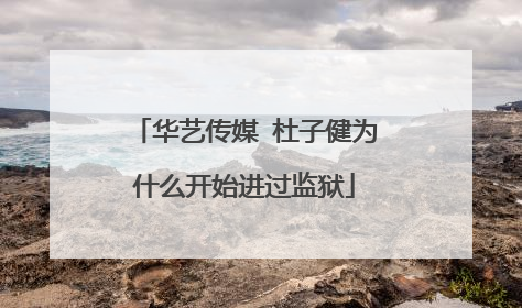 华艺传媒 杜子健为什么开始进过监狱