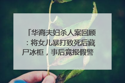 华裔夫妇杀人案回顾：将女儿暴打致死后藏尸冰柜，事后竟报假警，结果这样？