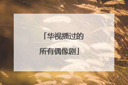 华视播过的所有偶像剧