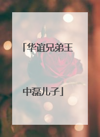 华谊兄弟王中磊儿子