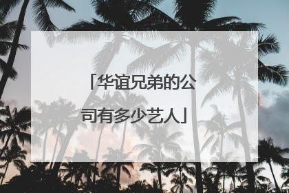 华谊兄弟的公司有多少艺人