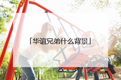 华谊兄弟什么背景