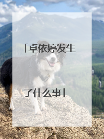 卓依婷发生了什么事