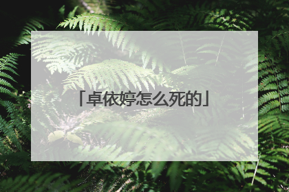 卓依婷怎么死的