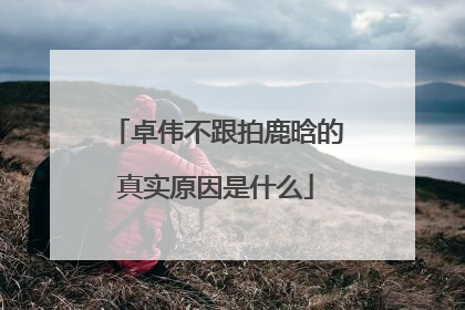 卓伟不跟拍鹿晗的真实原因是什么