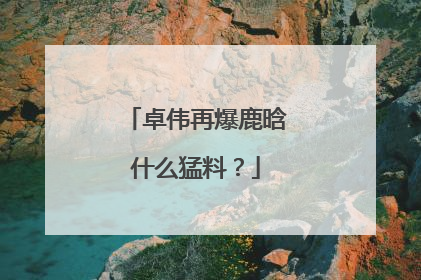 卓伟再爆鹿晗什么猛料？