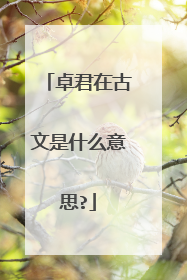 卓君在古文是什么意思?