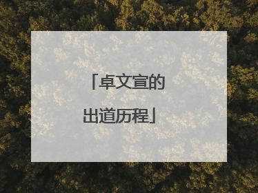 卓文宣的出道历程