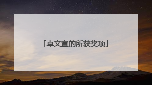 卓文宣的所获奖项