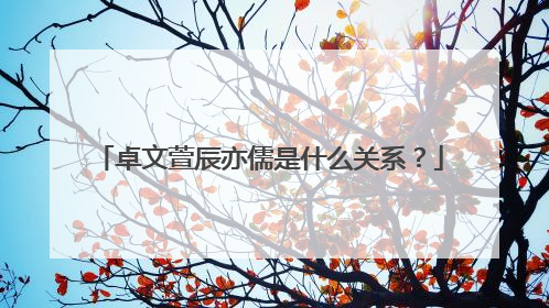 卓文萱辰亦儒是什么关系？